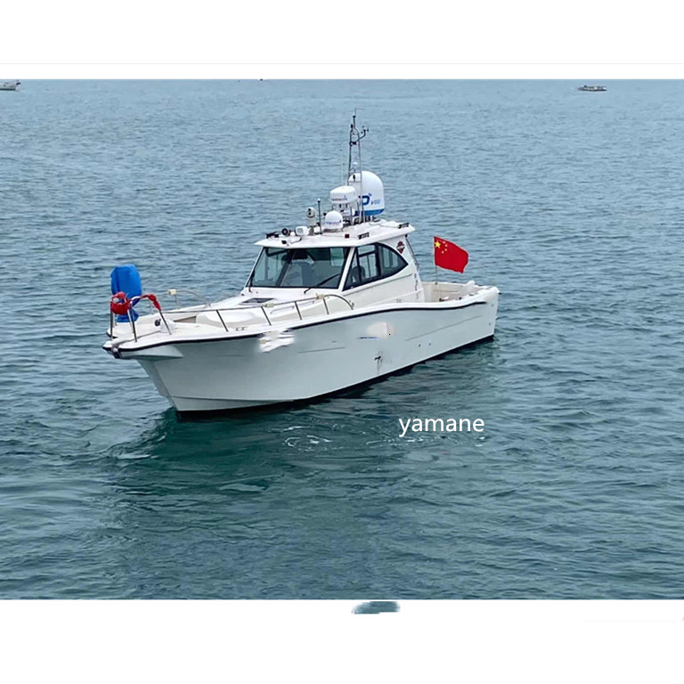 38ft, пассажирский паром из стекловолокна panga tourlst, рыболовная лодка с полной карупией