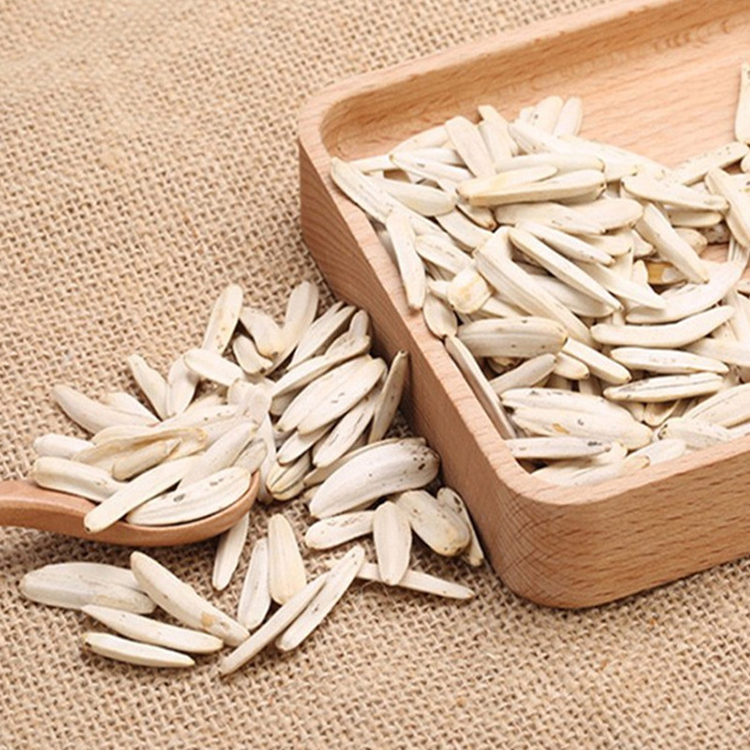 Wholesale brand High Quality roasted white sunflower seed