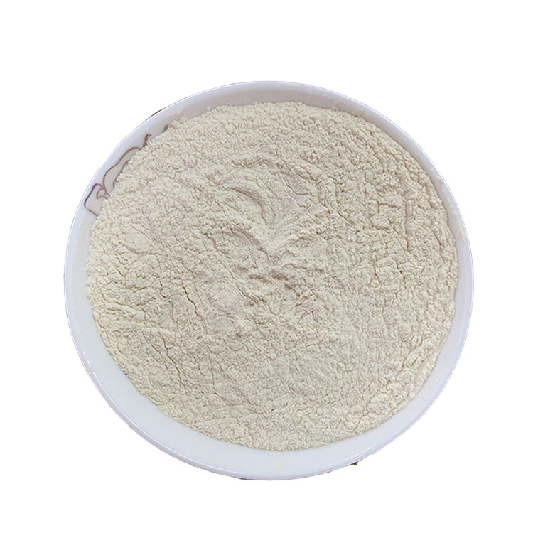 Most Popular transparent CAS 11138-66-2 Xanthan gum Low Viscosity Food Thickener Xanthan Gum
