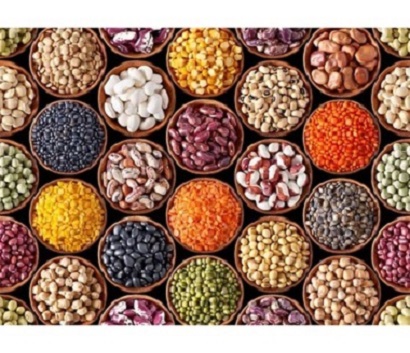 Whole Red lentils for sale