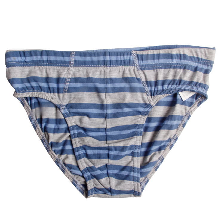 Printed Design Boy's  Brief Panty Shorts