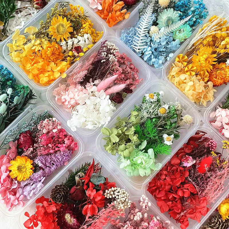 Dry Flowers Box Plastic Boxed/Bags Preserved Stabilized Flower Wholesale For Candle Making Flower DIY Small Resin Materials Set