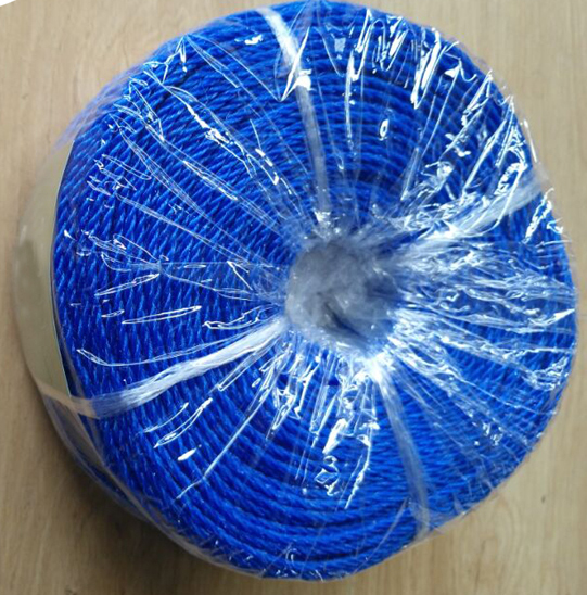 china manufacturer cheap pe rope polythene rope