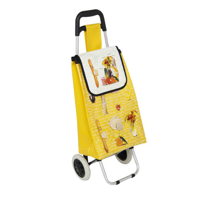Full Printing Fashion Look Outdoor Hand Push Cart Folding Trolley Carts for Shops