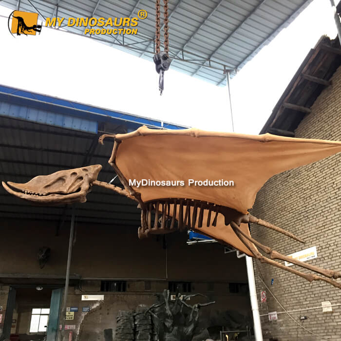 MY DINO DS021 Outdoor and Indoor Real Size Flying Pterosaur Skeleton