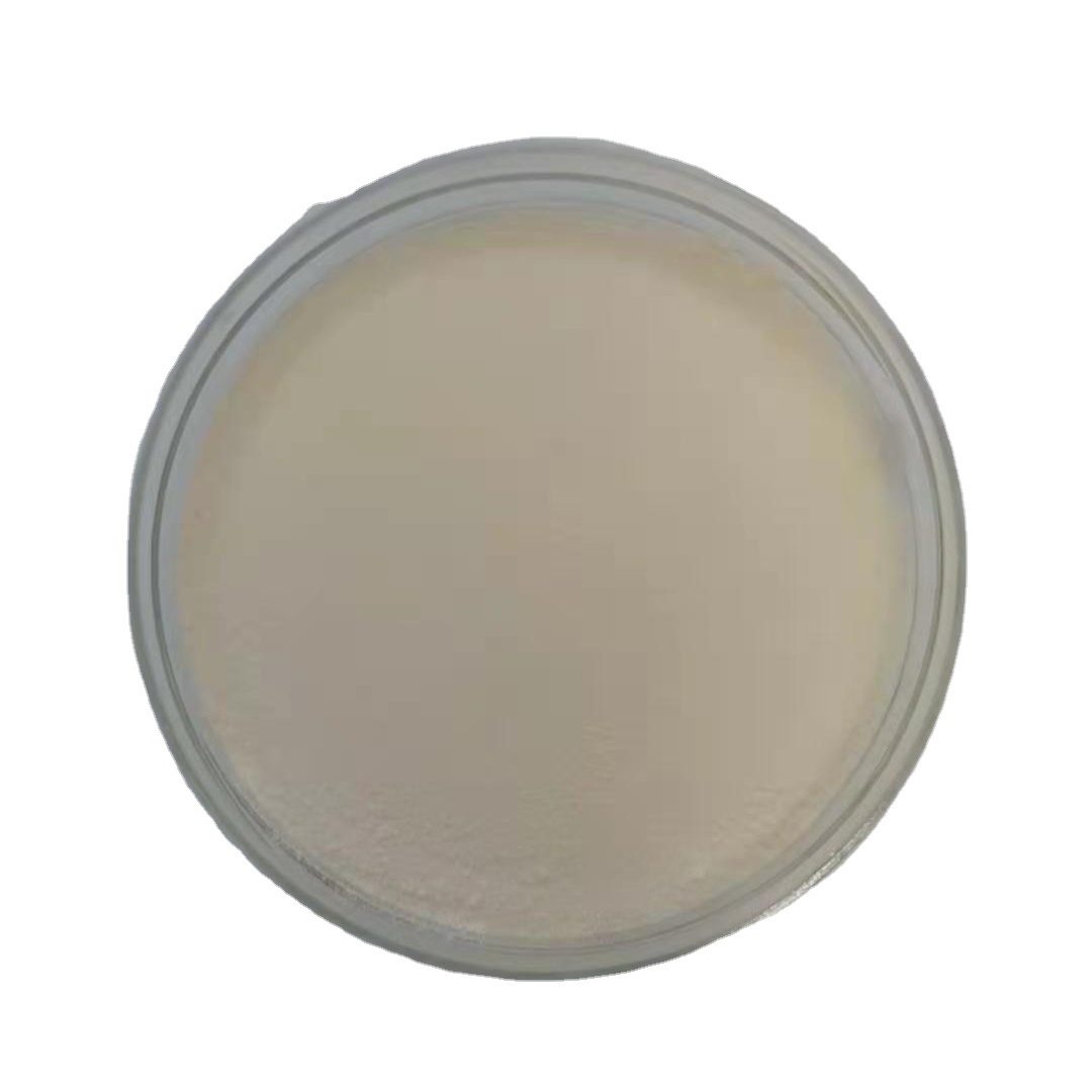 China Factory Price 5000u/g Nattokinase powder for sale