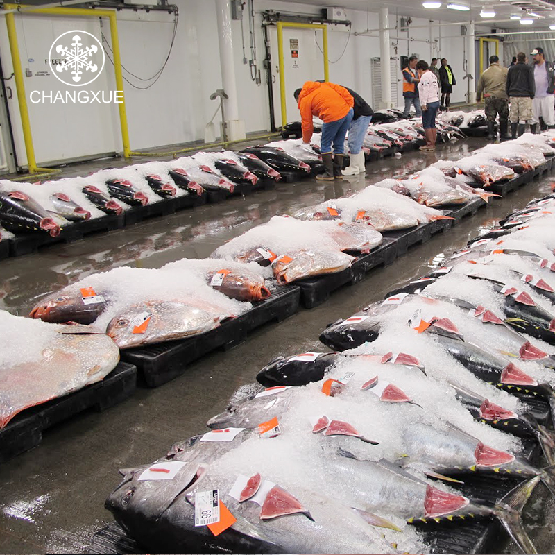 Малый размер свежих продуктов охлаждает комнату Холодильный склад/холодное помещение