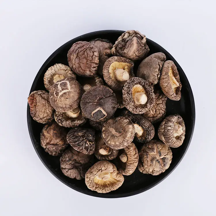 Market Prices Eu Standard Low Price Organic Food Healthy Food Champignon Cultivated Dehydrated Vegetable Dried Shiitake