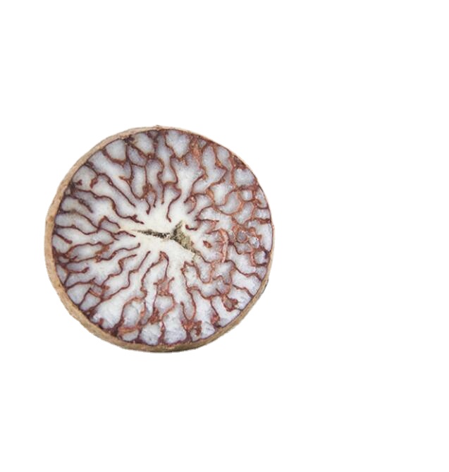 Bin lang guo natural Areca nut kernel Vermifugal dried cuts Areca Seeds slices