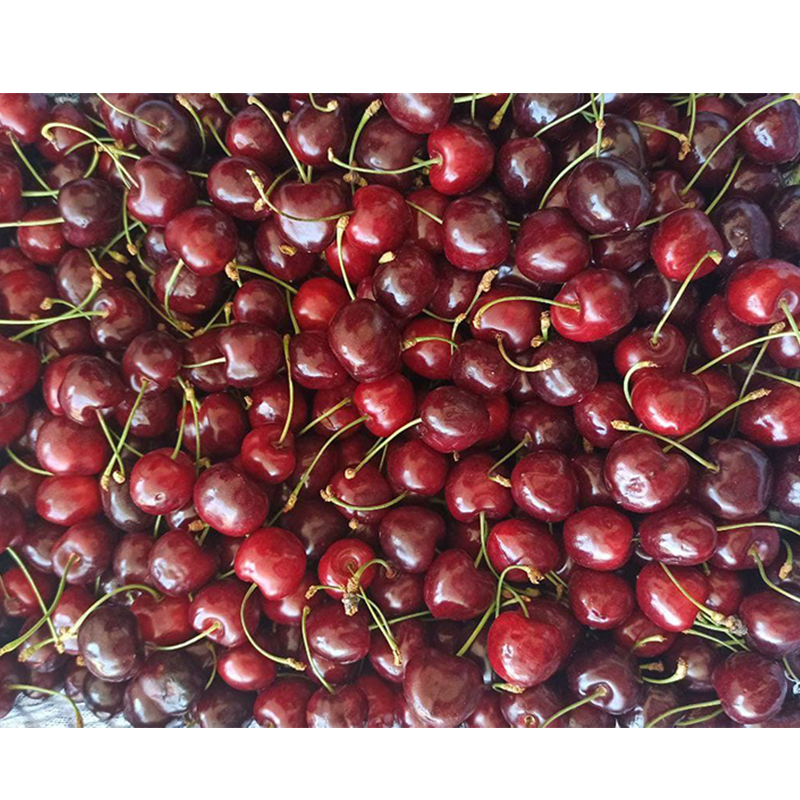 Оптовая продажа, сладкие вкусные Органические свежие фрукты, Вишня