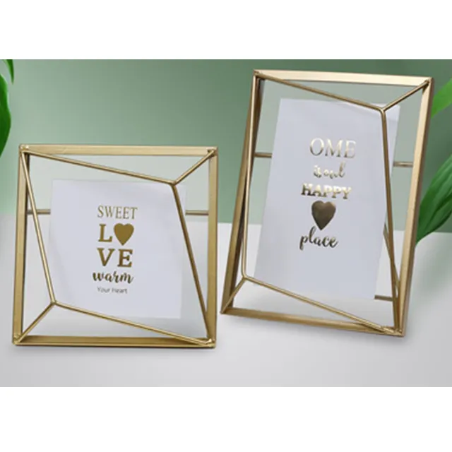Fashionable Drab Picture Frame Plant Specimen Home Decoration Metal Glass Picture Frame