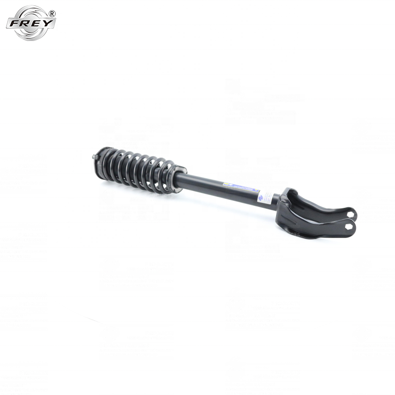 High quality Frey Auto parts shock absorber complete for benz W166 1663232400