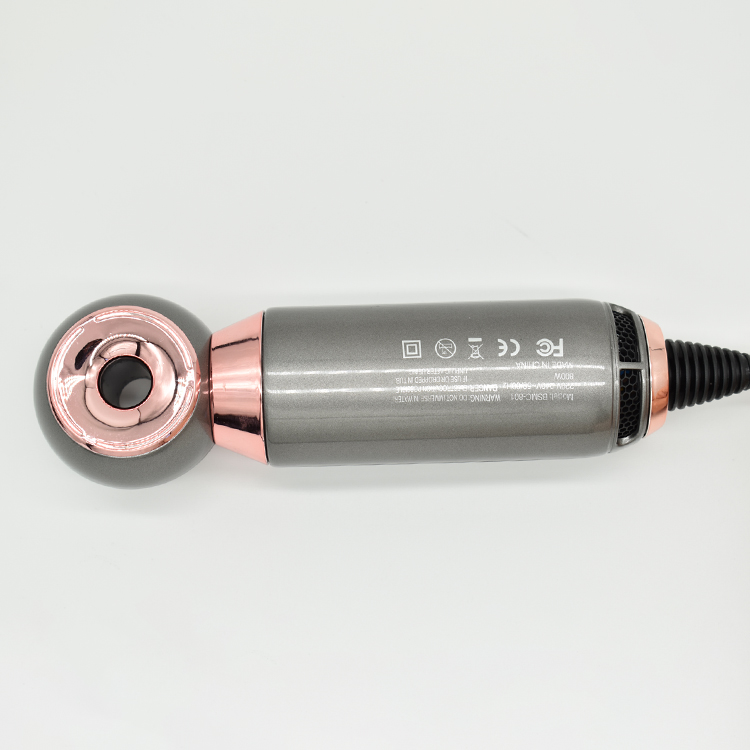 Popular blow dryer sets two speeds electric hair dryer hair styling tool with EU low noise fast dry pet hair dryer for salon