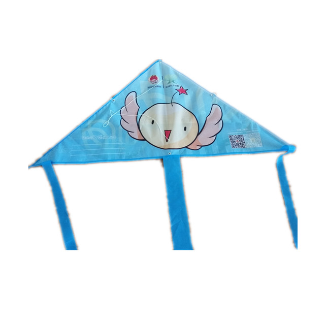 Custom delta advertising promotional kite