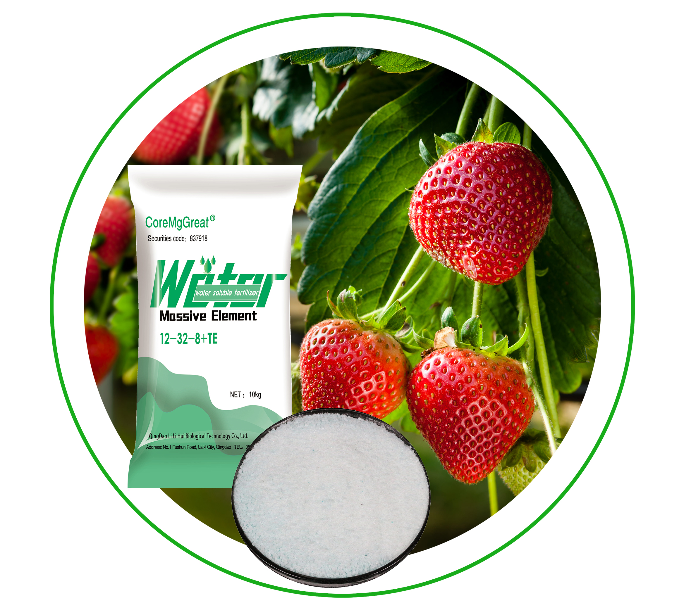 Water Soluble Fertilizers For Agriculture Crops,Low fertilizer pricing,Medium and trace element fast-effective fertilizer