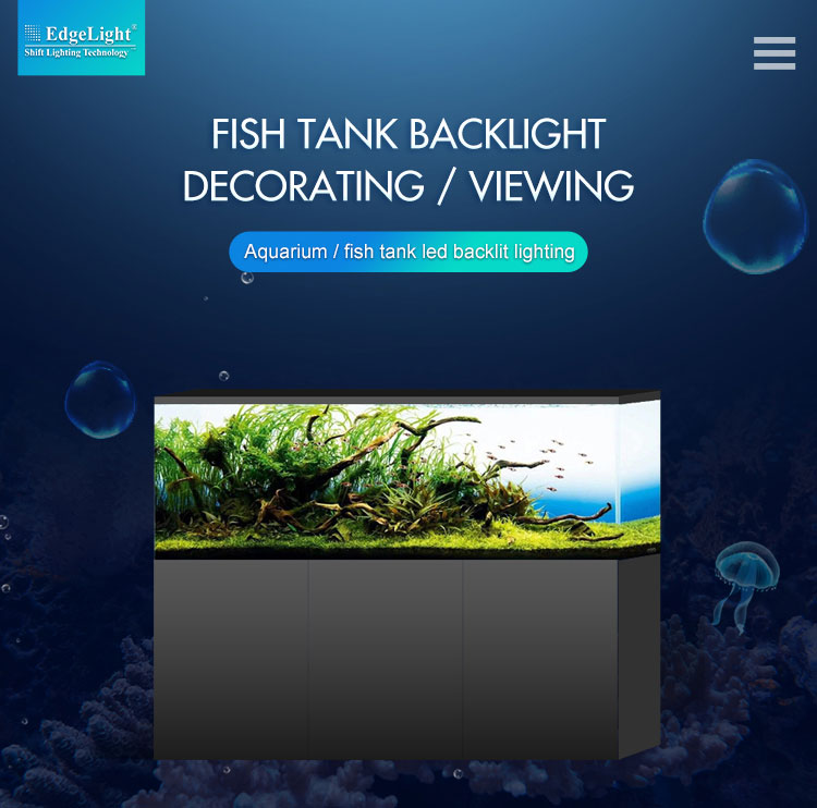 top hot sale new fashion wall mounted led aquarium lighting 6000K for fish tank