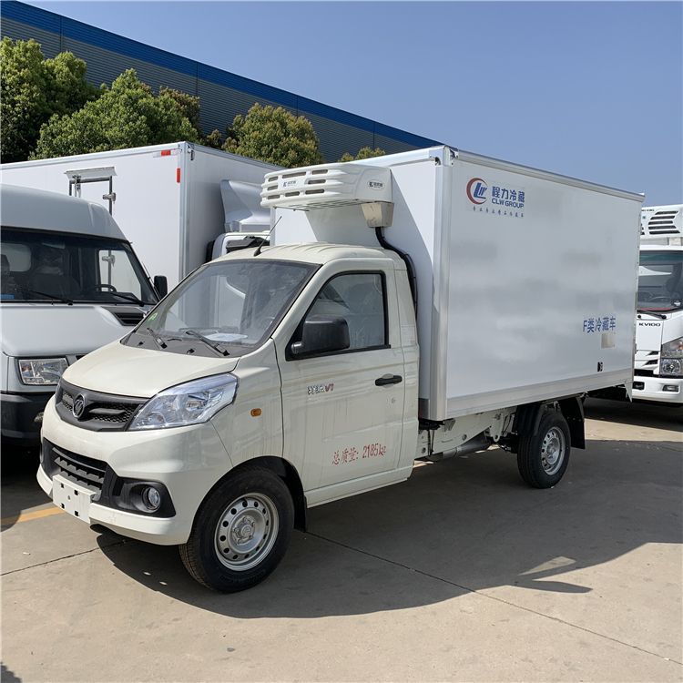 Ethiopia Hot Sale Foton 4x2 mini insulated refrigeration van for frozen foods