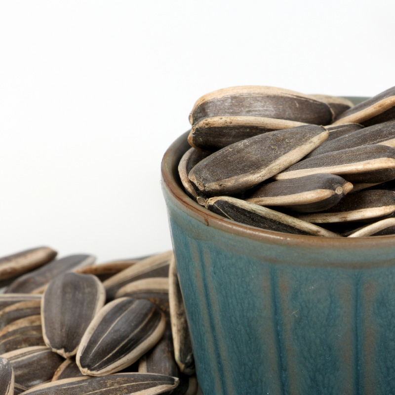 no hybrid sunflower seeds