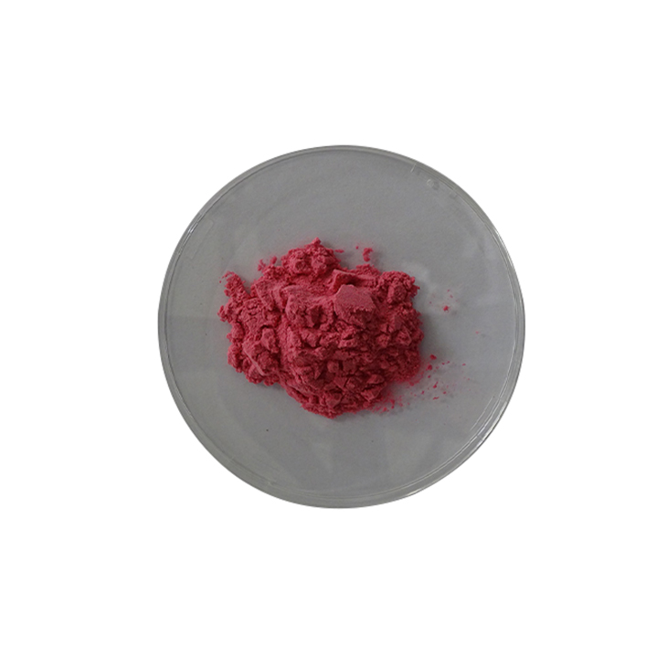 Lingonberry extract seed powder improving promote blood circulation