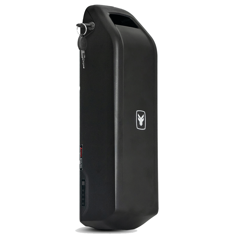 Литиевая батарея для электровелосипеда FUCARE Gemini 15ah