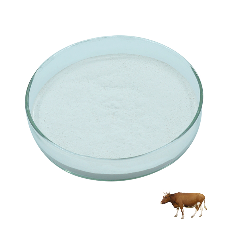 Vanilla extract flavor enhance cattle more feeding