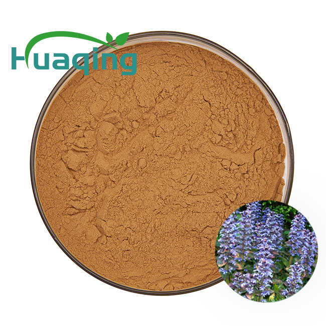 Turkesterone Capsule Natural Ajuga Turkestanica Extract Capsule for Bodybuilding Supplements