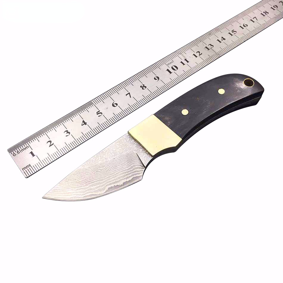Fixed Blade Knives Damascus Steel Blade Ebony Handle Camping Survival Hunting Knives with Leather Sheath