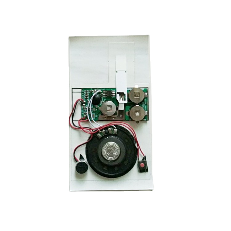 Superior quality mini voice recorder chip module in music music player chip