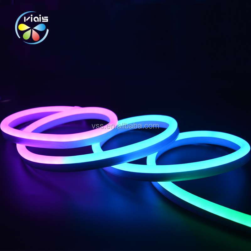 12 В/24 В IP68 ПВХ силикон 5050 RGB Пиксельная Адресуемая Неоновая Гибкая светодиодная лента