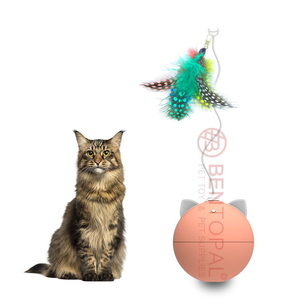 Игрушка для кошек с перьями, забавная игрушка для кошек с перьями