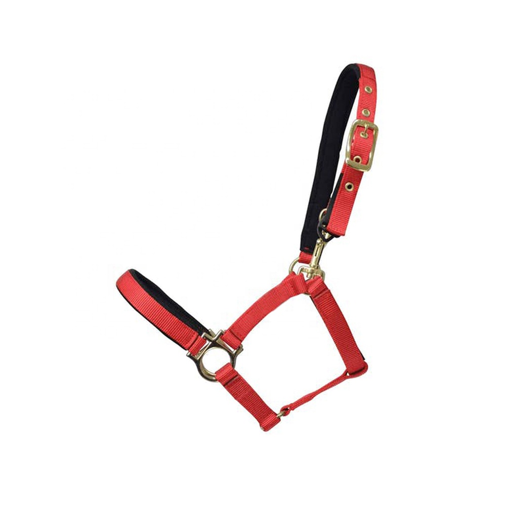 Equestrian Branded Print Head Collar Horse Soft Padded Horse Bridle and Comfy Safety Horse Halter
