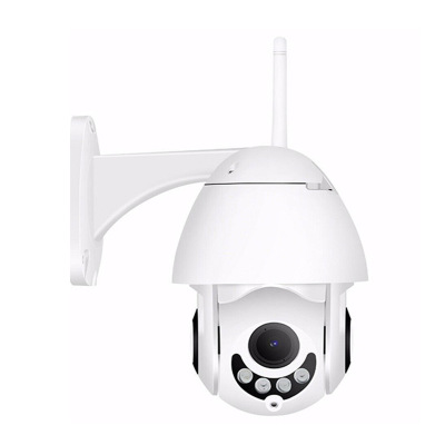 Mini Ball surveillance camera 4x digital zoom AI human body detection dual light source Infrared IP Camera
