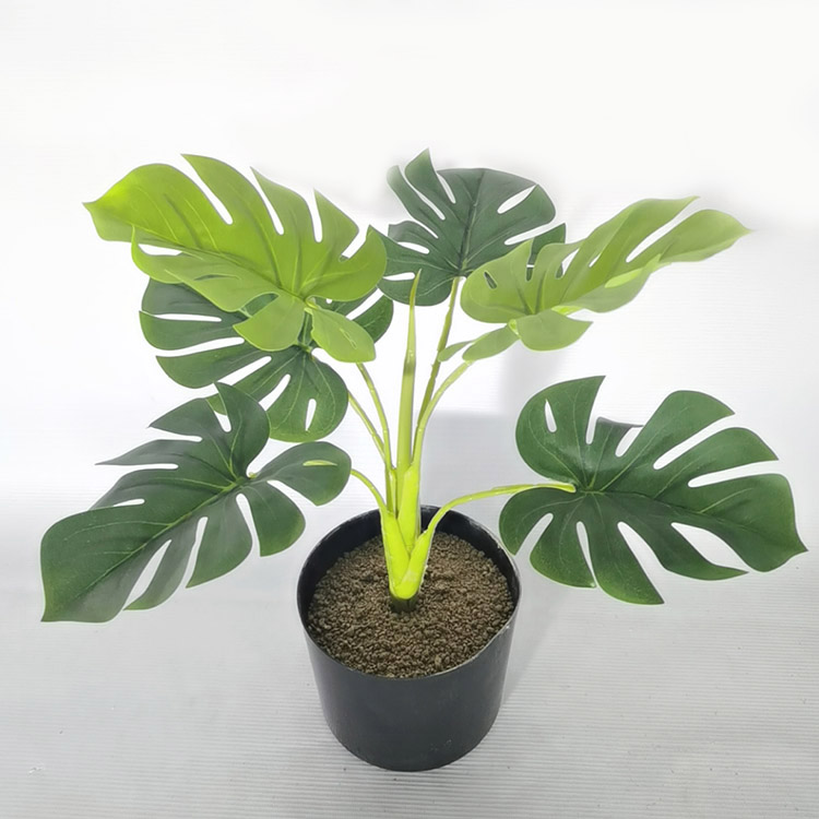 Оптовая продажа мини Поддельные alocasia macrorrhiza пластиковые швейцарские сырные растения в горшке искусственные monstera deliciosa маленькие бонсай дерево