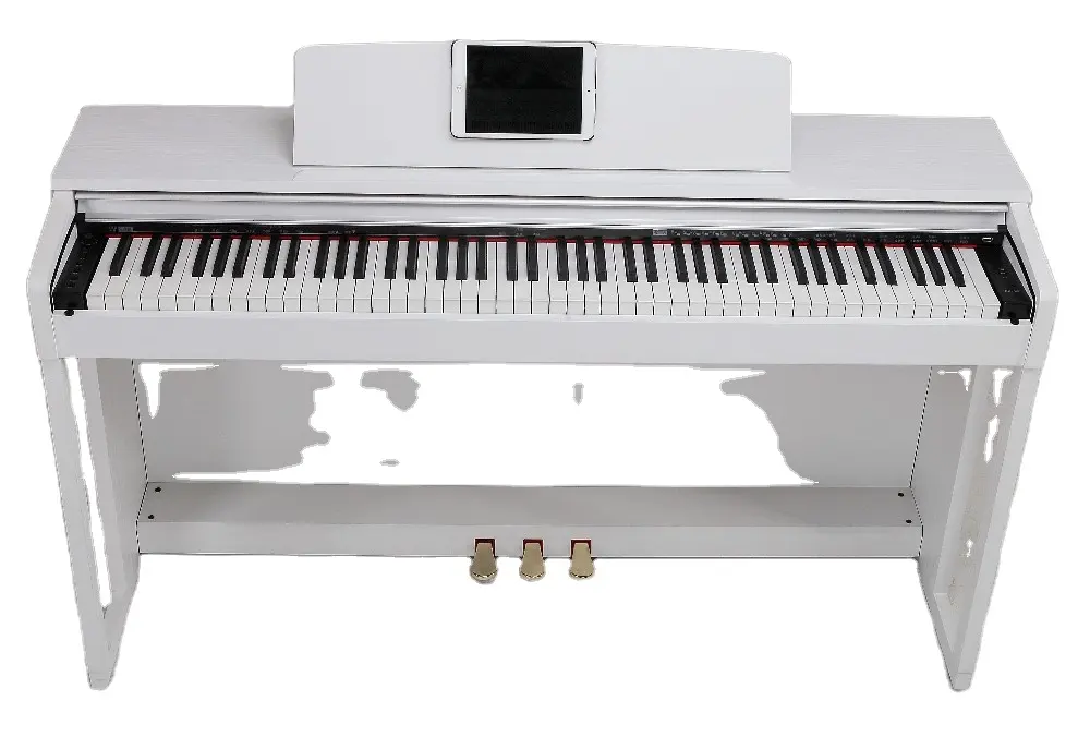 Professional Keyboard Digital Piano Digital Piano Upright 3 Colors Auto Power Off