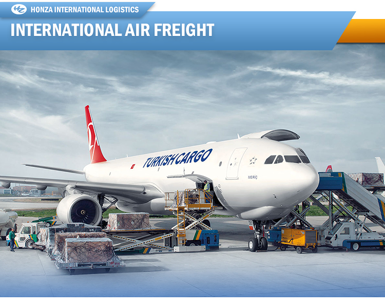 FCL sea freight agent door to door shipping service to Zambia Angola Namibia South Africa Madagascar Mosbik, Mauritius