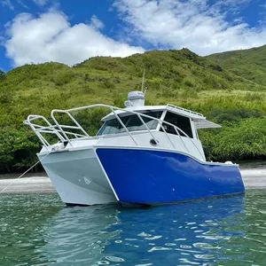 8.8m aluminum luxury sport rowing boat offshore catamaran fishing vessel passenger ship gospel boat pleasure cat