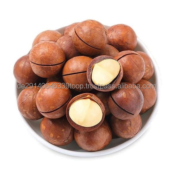 Macadamia nut shell Nuts Delicious Flavor Wholesale Price Organic Macadamia Nuts - Free Samples +49 1521 5673845