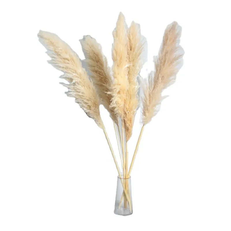 Wholesale Golden Ball Manufacturers Wholesale Wedding Dry Party Decoration Dried Flower