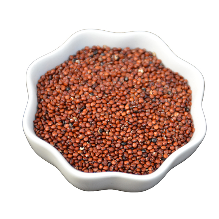 new crop Good Manufacture of red Quinoa Seeds