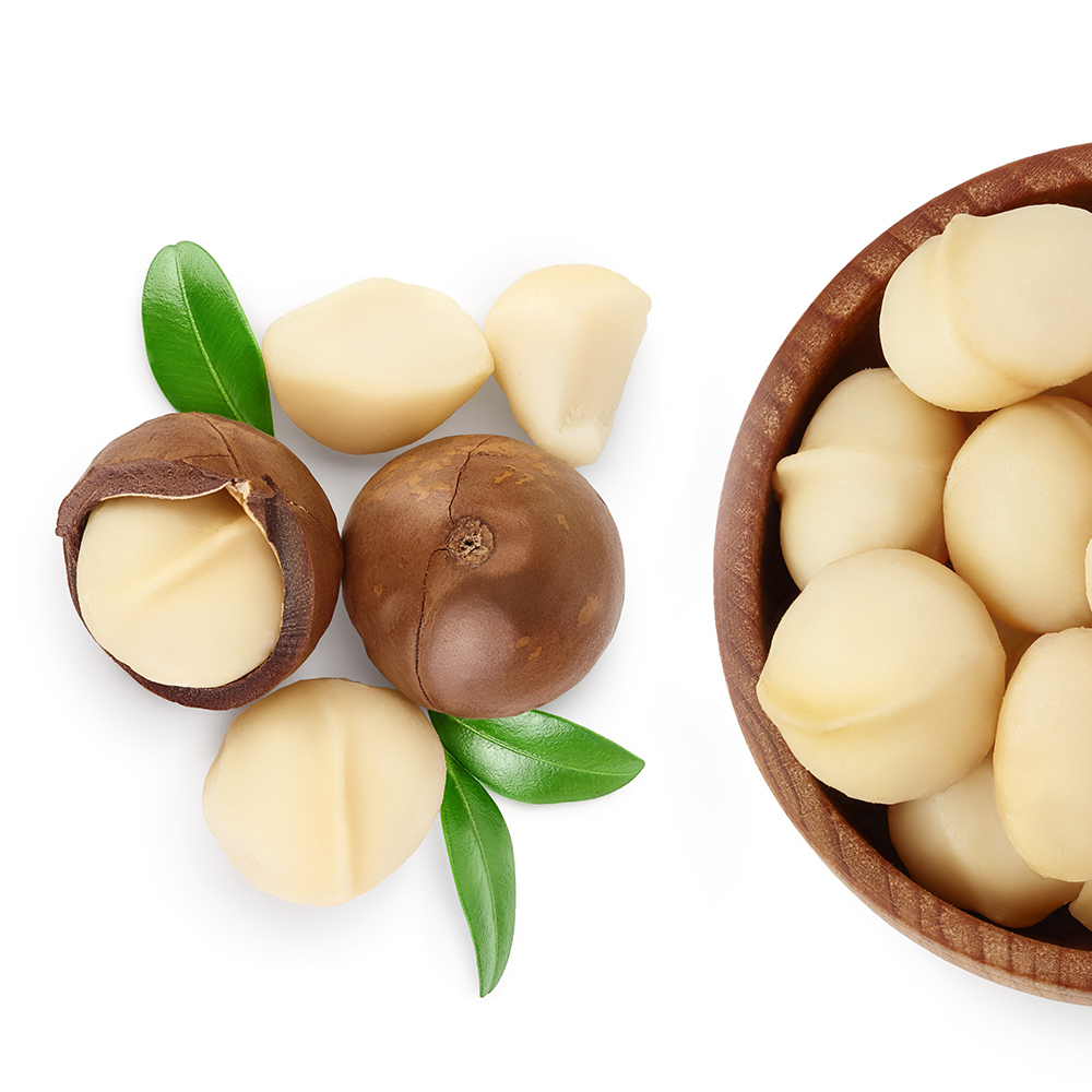 Macadamia Nuts Raw Chinese Bags TOP Sell Raw Roasted Food Consumption Macadamia Nut Kernel