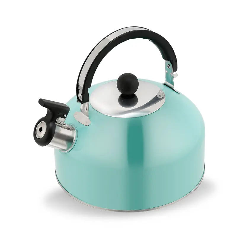 2021 New fashion stainless steel tea kettle