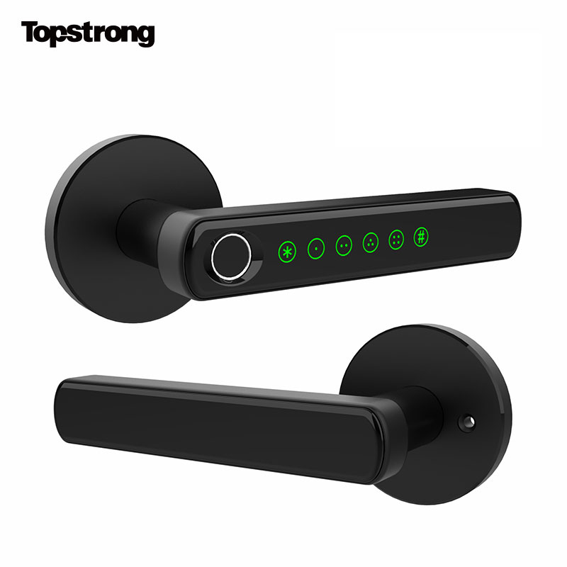 Zinc Material Wireless Security Biometric Lock Fingerprint Smart Door Lock