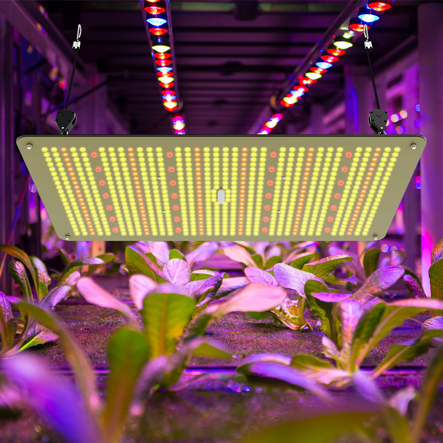 Lightmyleaf 240W 100-240VAC,277VAC с регулируемой яркостью с lm301h для растений прорастания комнатных растений СИД растет свет