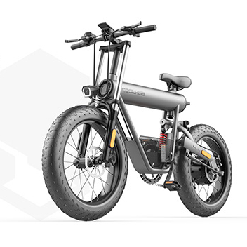 20AH 48V аккумулятор 20 дюймов пляжные и зимние шины электрический велосипед двухколесный горный велосипед велосипеды