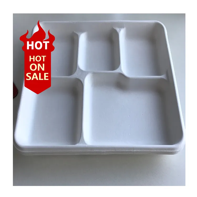 100% degradable disposable bagasse plate sugarcane tray for food packaging