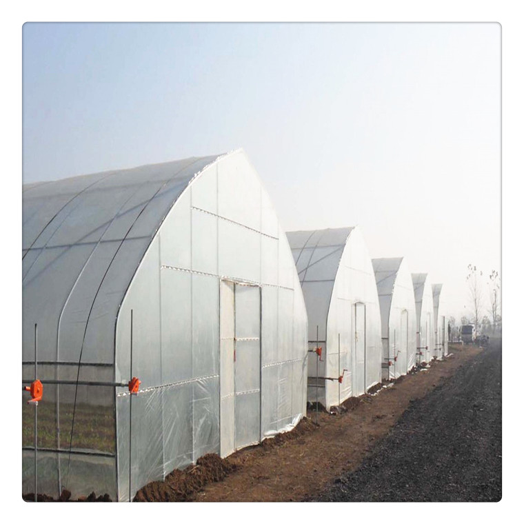 Vegetable Flower Farm Garden Agricultural Galvanized Steel Tube Frame Poly Tunnel Plastic Film Greenhouse