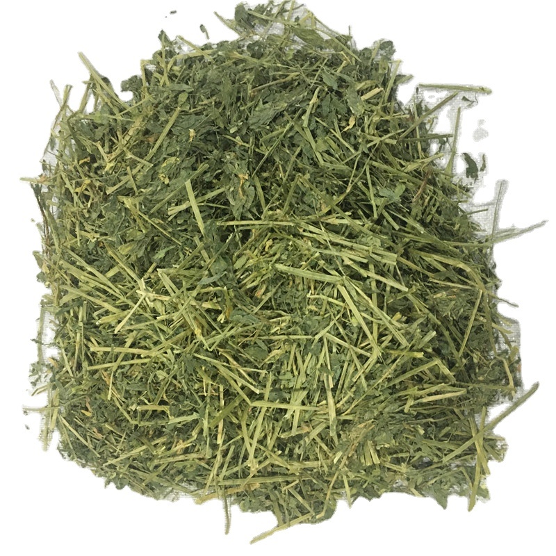 Good quality hay alfalfa Animal Feed