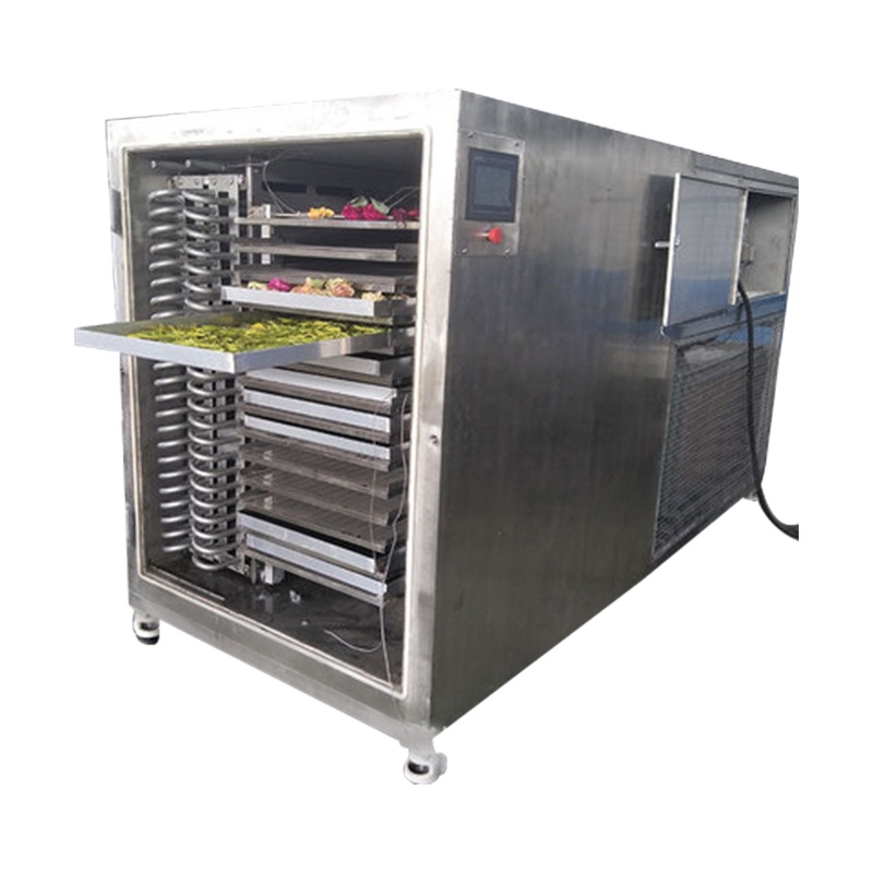 Automatic vegetable beef freeze dryer vacuum freeze-drying equipment for cats and dogs snacks salmon