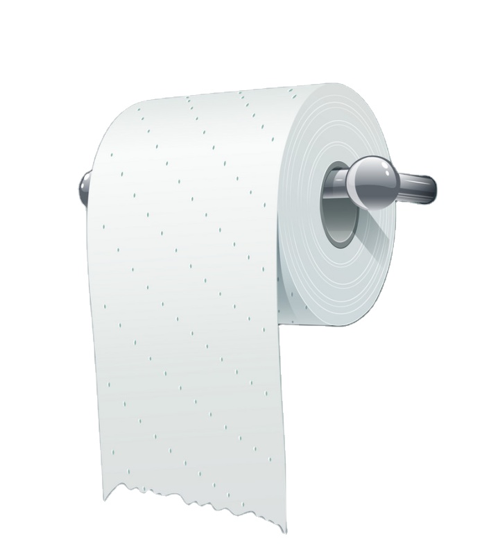 Factory direct white Toilet Paper Tissue
