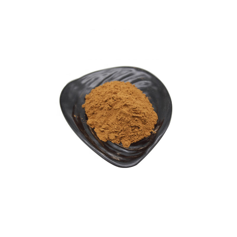 Anti-fatigue Food Grade Peptide Sea Cucumber Powder Organic Sea Cucumber Peptide